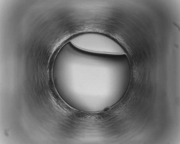 X0000102840488200808181028