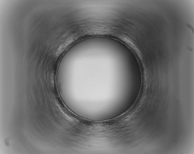 X0000102840489200808181028