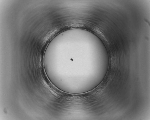 X0000102840490200808181028
