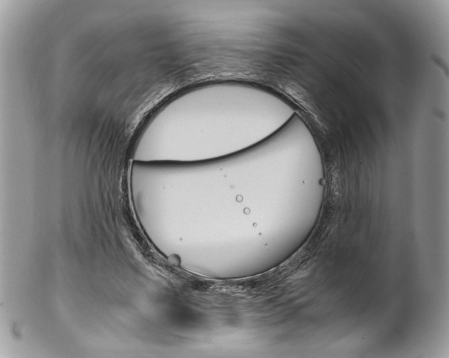 X0000102840491200808181028