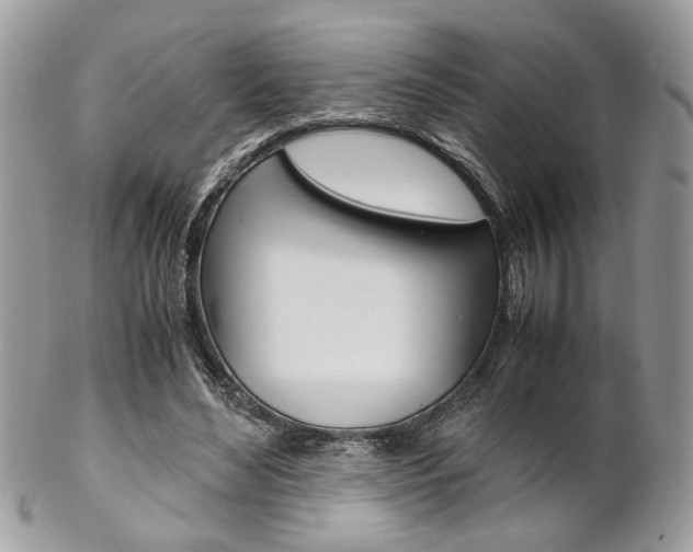 X0000102840492200808181028