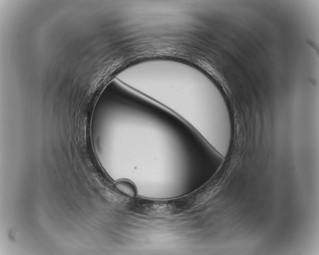 X0000102840493200808181028