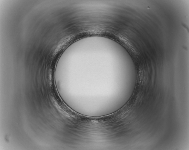 X0000102840494200808181028