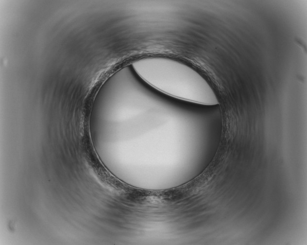 X0000102840496200808181028