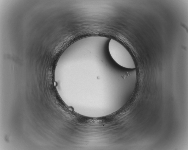 X0000102840497200808181028