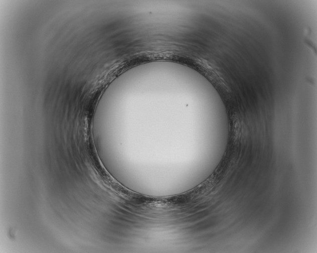 X0000102840498200808181028