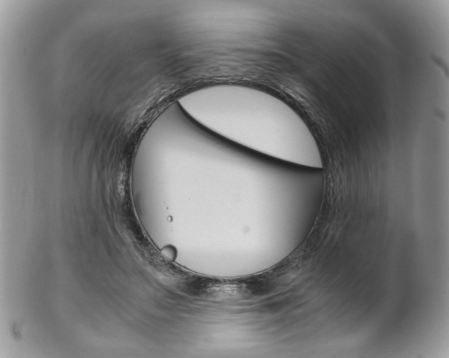 X0000102840499200808181028