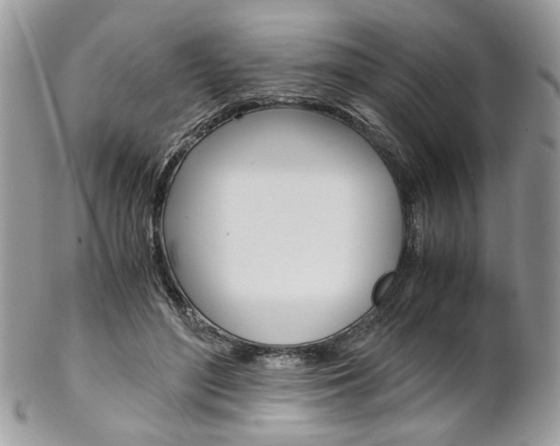 X0000102840500200808181028