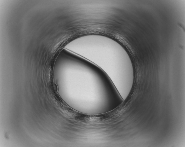 X0000102840501200808181028