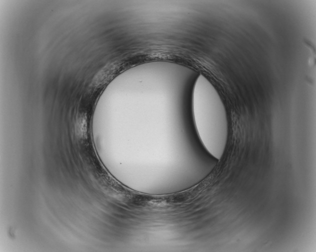 X0000102840502200808181028