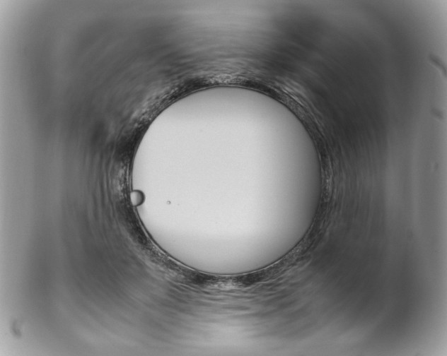 X0000102840503200808181028