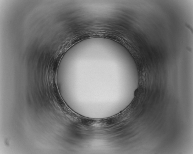 X0000102840504200808181028