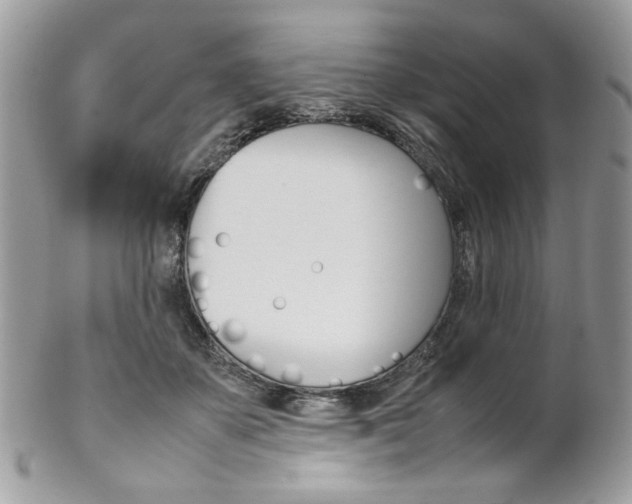 X0000102840507200808181028