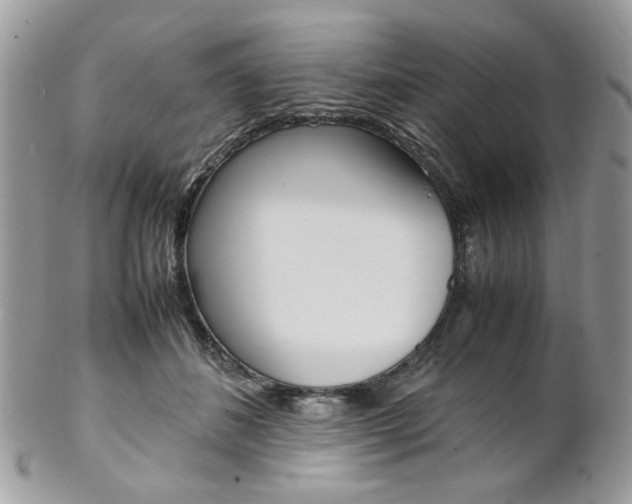 X0000102840508200808181028