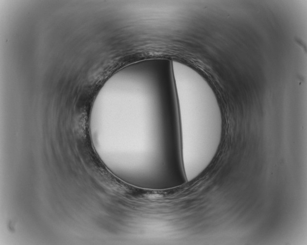 X0000102840509200808181028