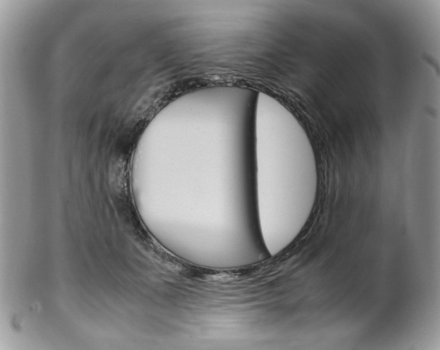 X0000102840511200808181028