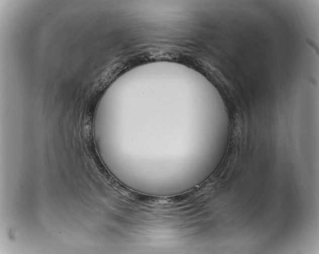 X0000102840513200808181027