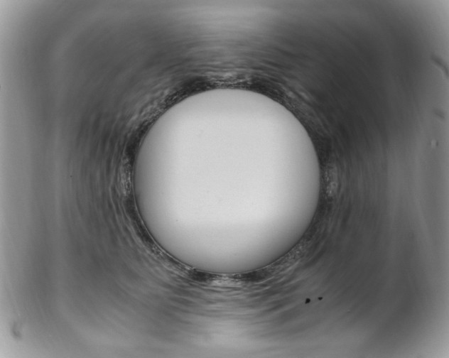 X0000102840515200808181027