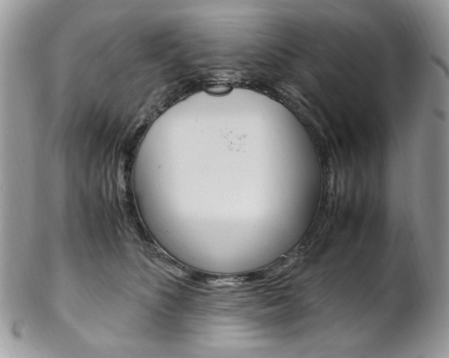 X0000102840516200808181027