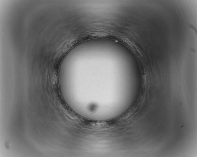 X0000102840517200808181027