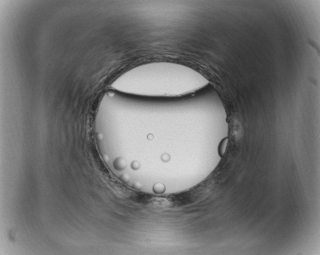 X0000102840519200808181027