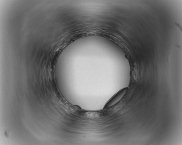 X0000102840520200808181027