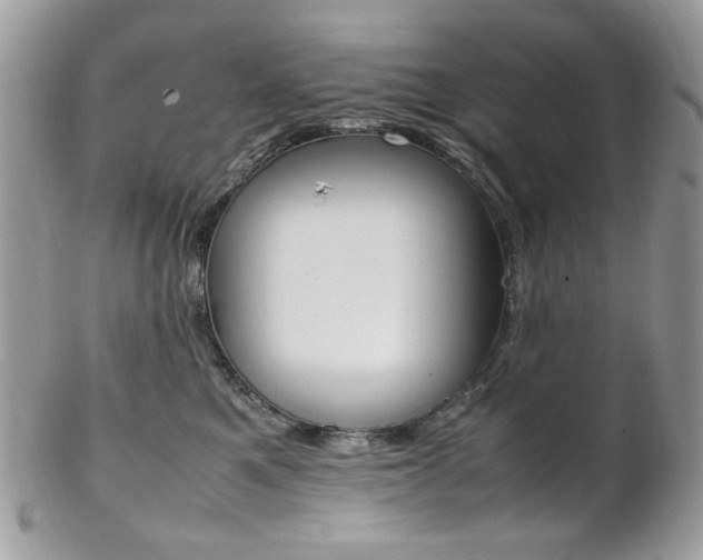 X0000102840521200808181027