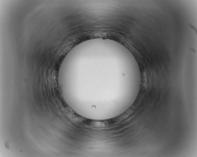 X0000102840522200808181027