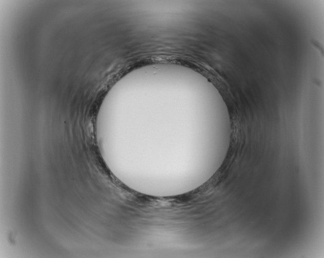 X0000102840523200808181027