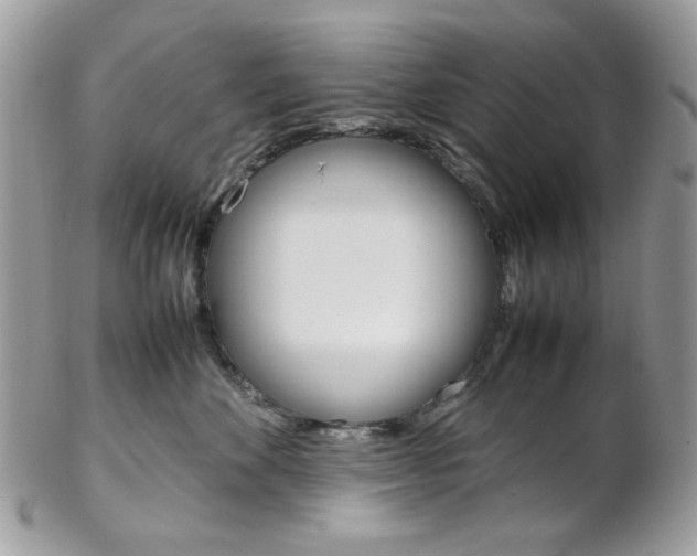 X0000102840524200808181027