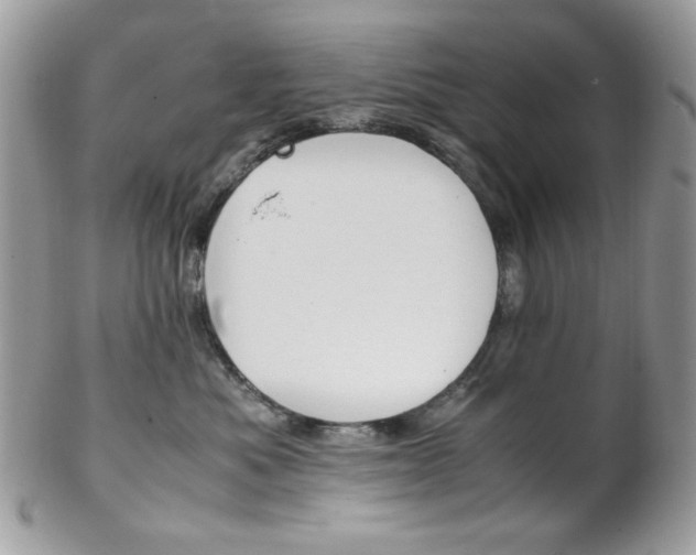 X0000102840525200808181027