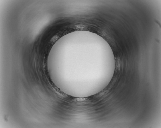 X0000102840526200808181027