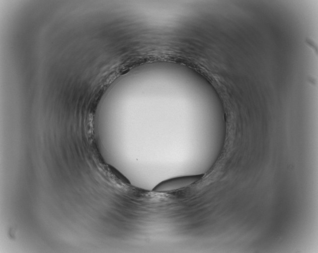 X0000102840528200808181027