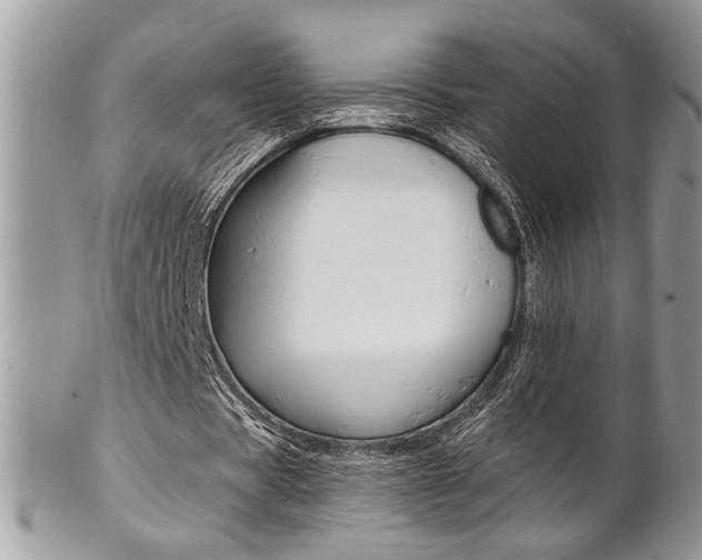 X0000102840529200808181027
