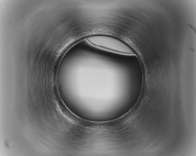 X0000102840530200808181027