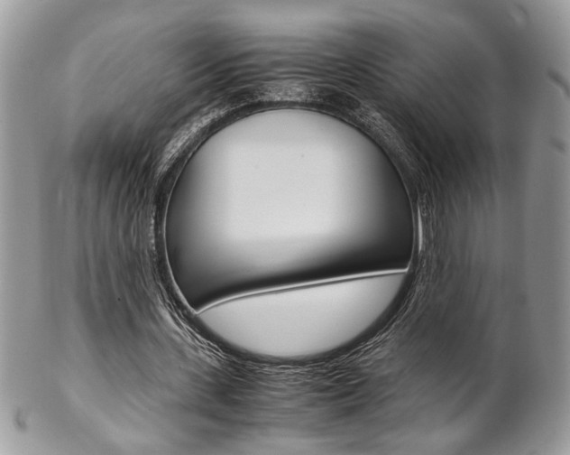 X0000102840531200808181027