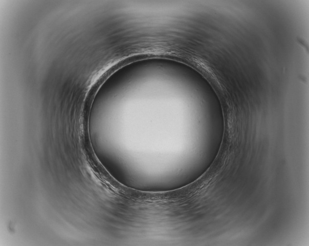 X0000102840532200808181027