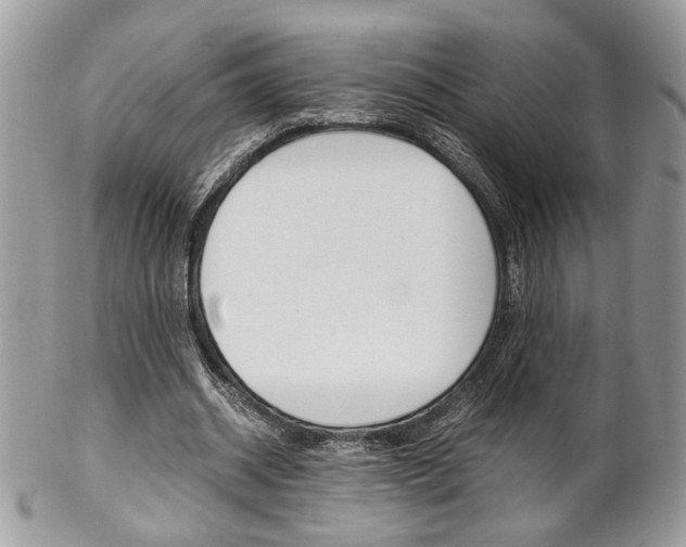 X0000102840534200808181027