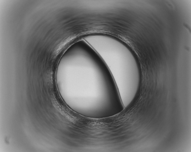 X0000102840535200808181027