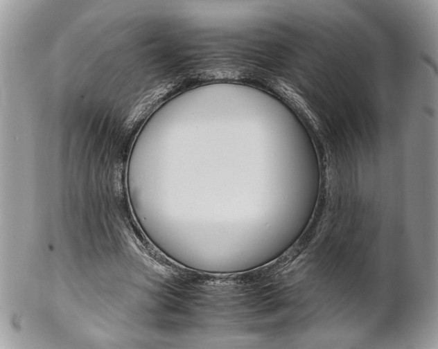 X0000102840537200808181027