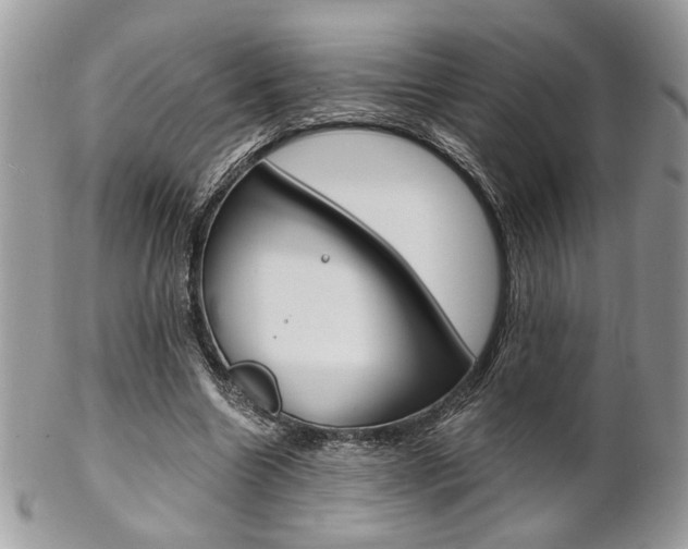 X0000102840538200808181027