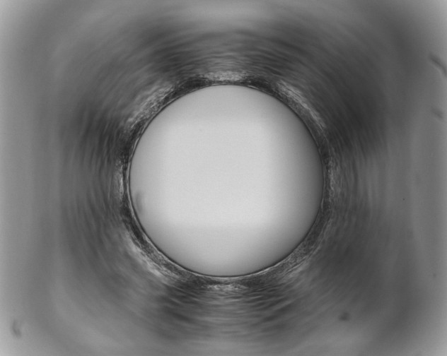 X0000102840541200808181027