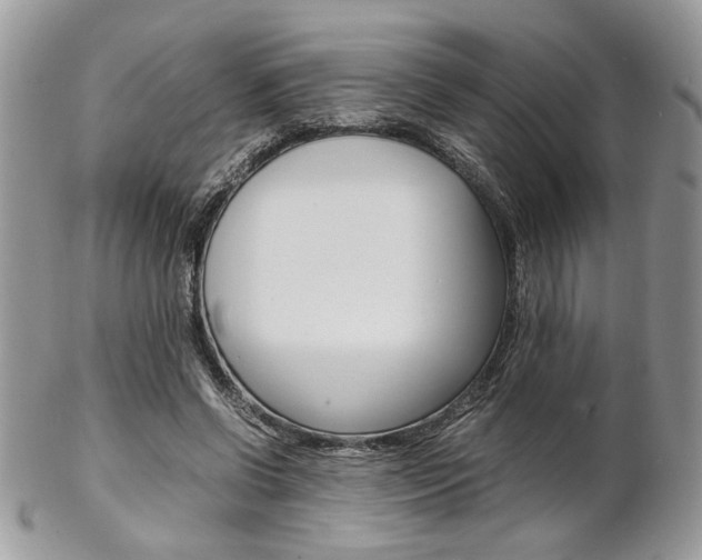 X0000102840542200808181027