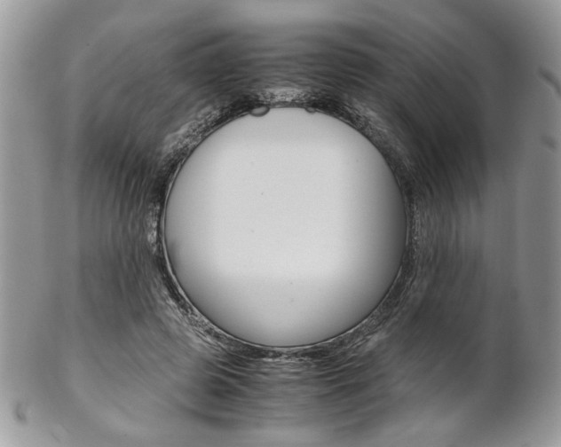 X0000102840545200808181027