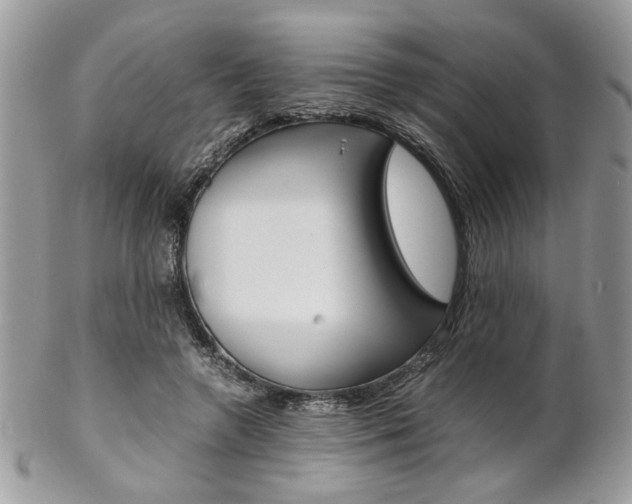 X0000102840546200808181027