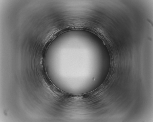 X0000102840548200808181027