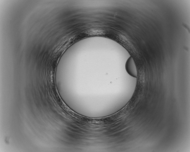 X0000102840549200808181027