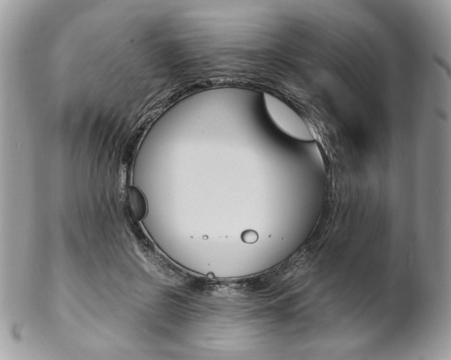 X0000102840550200808181027