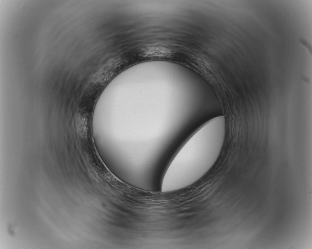 X0000102840551200808181027