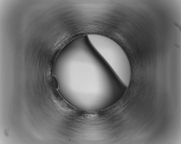 X0000102840552200808181027